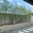 스테이 하녹정 이미지