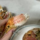 배고픈 모찌 | 배고픈 사람 ?