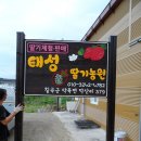 태성참딸기농원