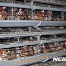 윤정희농장 이미지