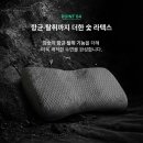 웰리더