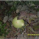 도내2리 이미지