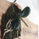 가풍농장 이미지