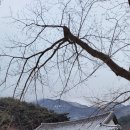 정진세탁소 이미지