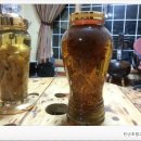 영암산야초