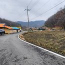 신기리농장 네이버블로그