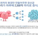 미애부경주 - 경주시 시래둑길 5 | 미애부경주