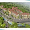 펠리시티2차 이미지