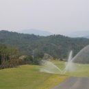 포항골프장(대중9홀) 이미지