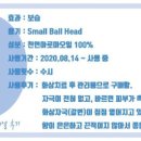 썬샤인브릿지 이미지