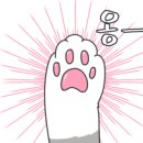 더포 경산점 이미지