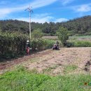 나드리민박 이미지