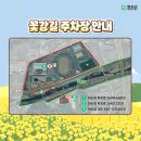 2024년 화순 꽃강길 버스킹 | 🌼 2026 화순 봄꽃축제 일정, 프로그램,주차,가는 법 총정리