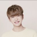 해비디자인