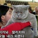 퍼스트세차 네이버블로그