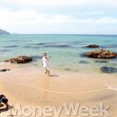 7번국도 동행미디어 시대
