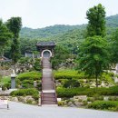 노고산 흥국사와 스타벅스 더북한산점 조망 (2026.6.8.월) 이미지