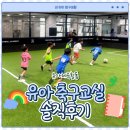 유아 체육 교실 | 축구교실 유아체육 6세부터 시작한 솔직후기