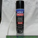 리퀴몰리 디젤 흡기시스템 클리너 ( Pro-Line Intake System Cleaner Diesel ) 이미지