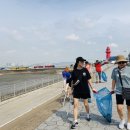 골든코스트 이미지