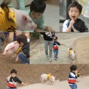 승재기획