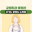 경기도 광명시 소하동 교정치과 총정리