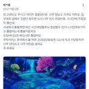 명성오토바이 | 상하이 마시청 서커스 예약 A 좌석 내돈내산 후기 상해 가족여행 코스 효도여행 추천