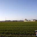 간척초등학교 이미지