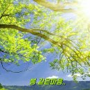 (주)오늘의선물 이미지