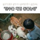 일산 아기랑 갈만한 먹이주기체험 찬우물 동물농장 후기