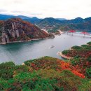 청풍리조트수영장 이미지