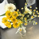 우체국길 | [내돈내산] 공주시 중학동 에스프레소에 진심인 벨보이커피 솔직 리뷰 후기