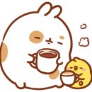 파인트리비 이미지