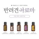 jj 에스테틱 네이버블로그