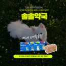 솔솔약국 네이버블로그