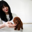 데일리미트 이미지