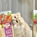 우리키친 | [공지] ANF 서포터즈 무해크루 &lt;ANF 6Free+ 제조공정 &#39;우리와 키친&#39; 견학 후기&gt;