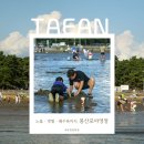 서해수산푸드 | 태안 몽산포야영장 Ⅰ 명당과 편의시설, 수산시장, 장단점까지 총정리