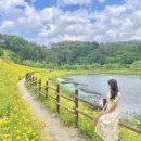 담양오방길3코스(습지길) | 6월 국내 여행지 추천 Best 5 : 여름의 시작 6월에 떠나는 힐링 여행
