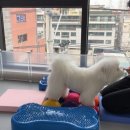 옐레드 송파헬리오시티점 이미지