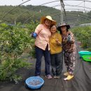 의령농장 이미지