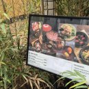 우물집 | 광진구가볼만한곳 한정식 맛집, 구의동밥집 우물집 방문 후기