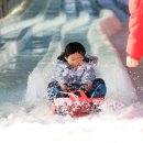 송어축제 이미지