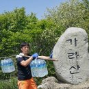 2017년 제5회 거제지맥 트레일런
