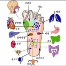 생활정보 - 남자 & 여자분들을 위한 한 발 마사지 지압 이미지