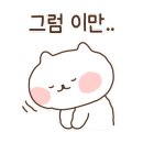 해피캣타운 고양이강아지 서울충무로점 이미지