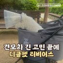 데일리어스 | 15살 노령견 강아지 유모차 내돈내산 후기｜디클펫 러비어스 데일리 뽕 뽑는 중