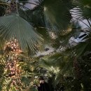 복두부집 이미지