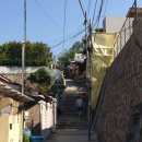 림의 집 이미지