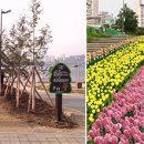 나무랑숲 이미지